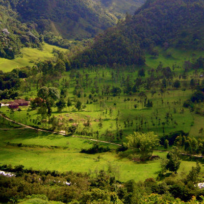 Coffee Region Colombia Enchanting Travels South America Vacation Colombia Tours