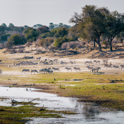 Boteti River, Makgadikgadi National Park, Botswana, Africa