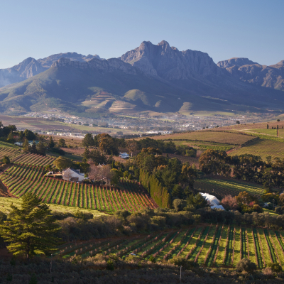 Wine farming area,h vineyards and mountain landscape near Stellenbosch, South Africa