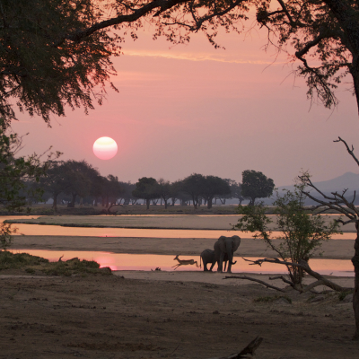 Mana Pools National Park - Shadows Of Africa