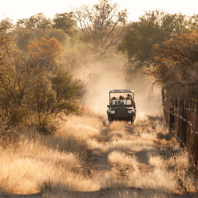 Game drive vehicle on an early morning game drive 2hrs North of Johannesburg, South Africa