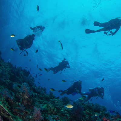 Diving in deep blue sea, Indonesia, Asia