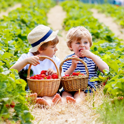 cuisine in Australia