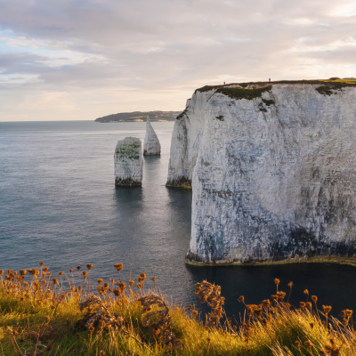 Evening light at Old Harry Rocks Dorset England UK Europe