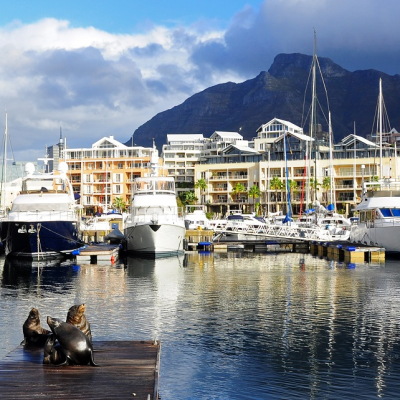 Enchanting Travels South Africa Tours Sea lion on a jetty in Cape Town V&A Waterfront