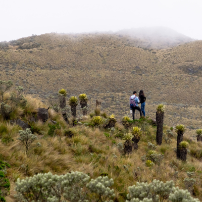 People hiking in Los Nevados National Natural Park, Colombia, South America