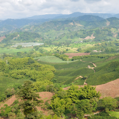 Eje cafetero, where most of the colombian coffee comes from, Colombia, South America
