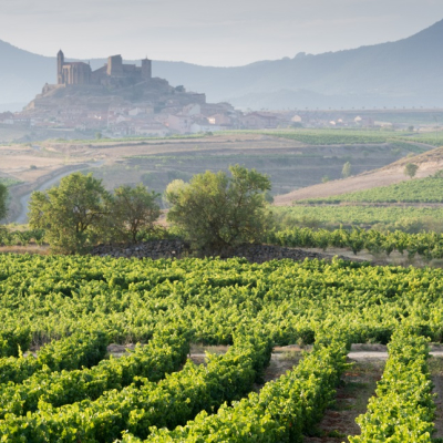 Enchanting Travels Spain Tours Vineyard and San Vicente de la Sonsierra as background, La Rioja (Spain)