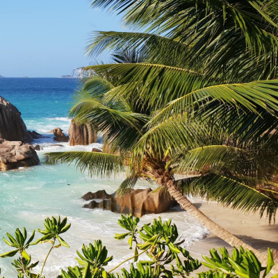 Seychelles Tours