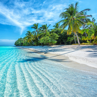 Beaches