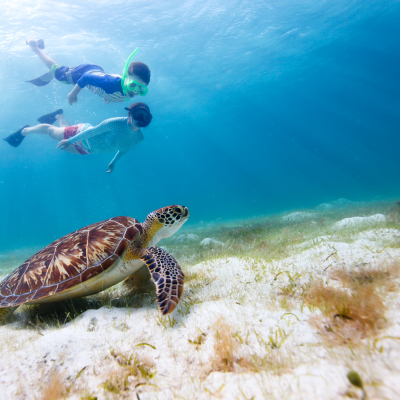 south-america-ecuador-galapagos