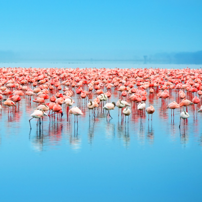 Best Things To Do in Kenya