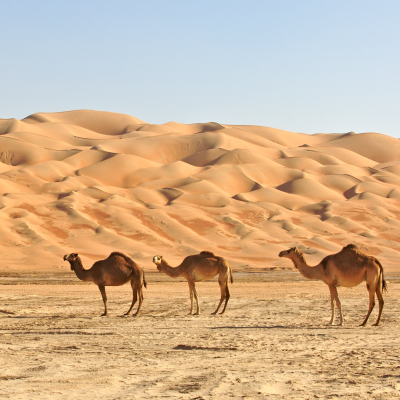 Oman Reisen