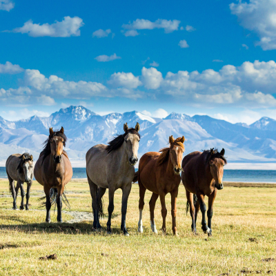 Central Asia Tour