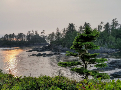 Sunset reflecting on a waterbody surrounded by trees