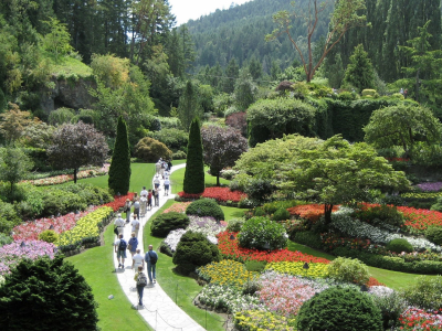 A garden with many trees and flowers with mountains in the background