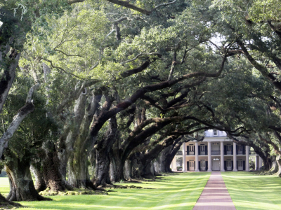 Oak Alley Plantation