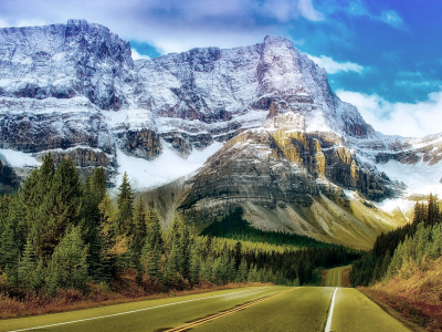 a tree with a mountain in the background