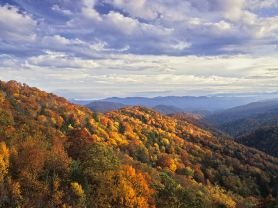 Beautiful green covered ranges of the Great Smoky mountains below the cloudy sky
