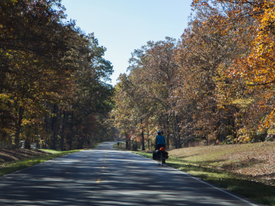 Natchez Trace Parkway