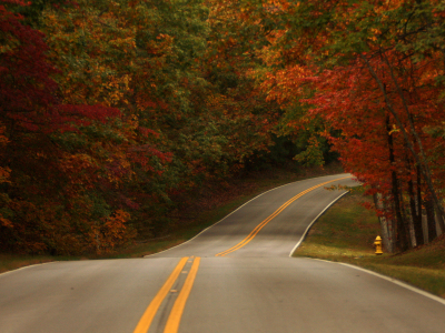 Driving in the Deep South