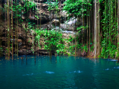 A large body of water surrounded by trees