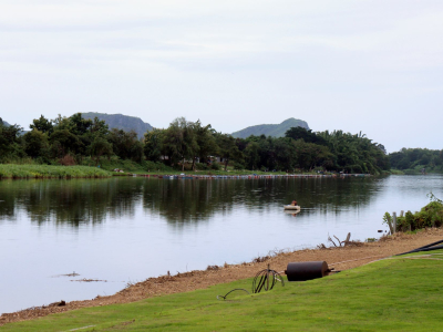 a herd of cattle walking across a river next to a body of water