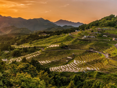 Rice terraces at sunset in Japan