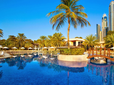 a pool next to a body of water surrounded by palm trees