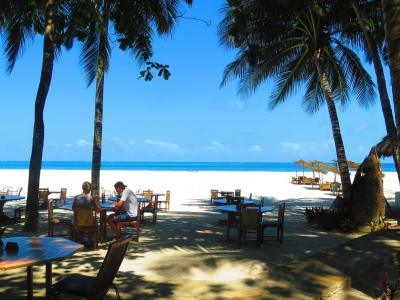 a group of palm trees next to a body of water