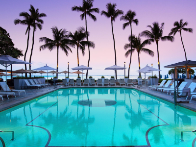 a group of palm trees next to a swimming pool