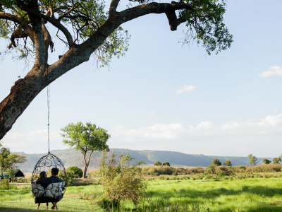 a large tree in a grassy field