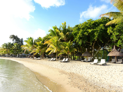Ravenala beach