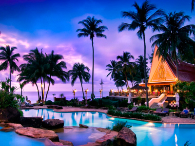 a group of palm trees next to a body of water