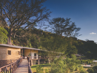 a house with trees in the background
