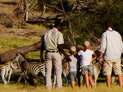 A family standing on a grassland and watching zebras on a safari with a guide