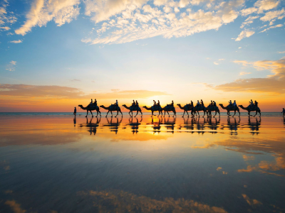 a group of people on a beach near a body of water