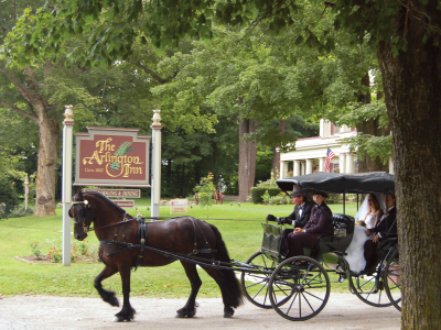 Horse and carriage at Arlington Inn