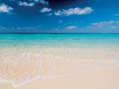 a sandy beach next to the ocean