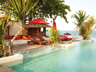 a group of palm trees next to a pool of water