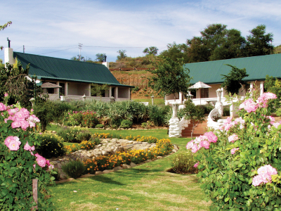 a close up of a flower garden in front of a house