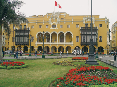 a close up of a flower garden in front of a building