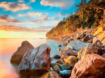 Sunshine at Coromandel Cliffs