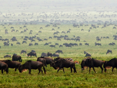 Luxury Kenya Holiday