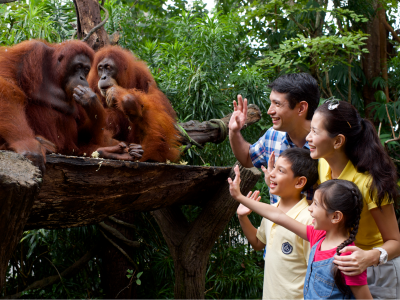 Things To Do In Singapore