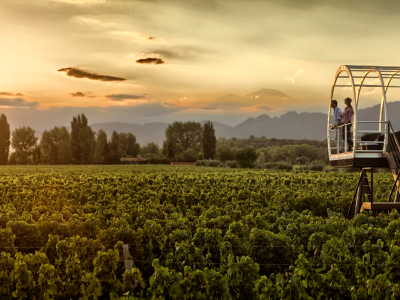 Our Favourite Journeys of 2025