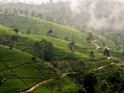 Sustainable Travel