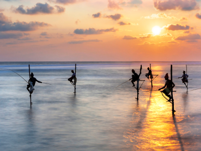 Our Top Tailored Experiences In Sri Lanka