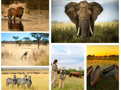Six Ways to Experience the Okavango Delta