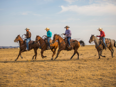 Luxury Ranch Holidays USA